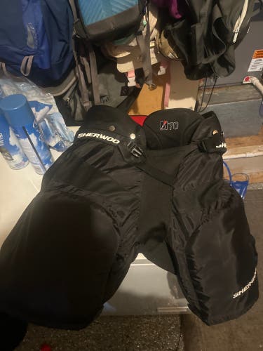 Senior Large Sher-Wood Hockey Pants (Used)