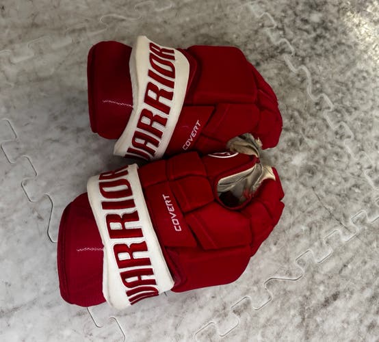Warrior Gloves 15" Pro Stock (Used)