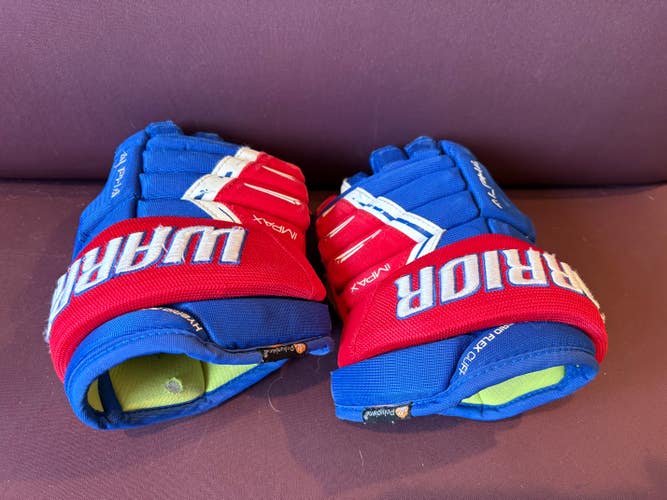 Warrior Alpha DX Pro Gloves 11" (Used)