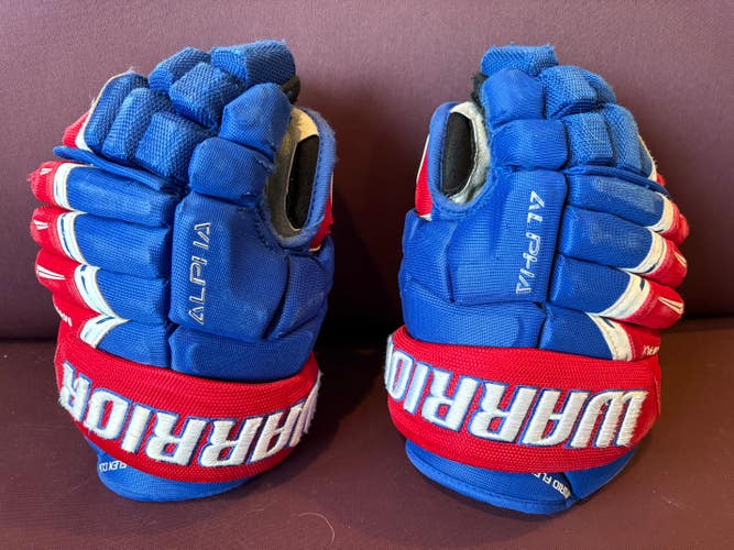 Warrior Alpha DX Pro Gloves 11" (Used)