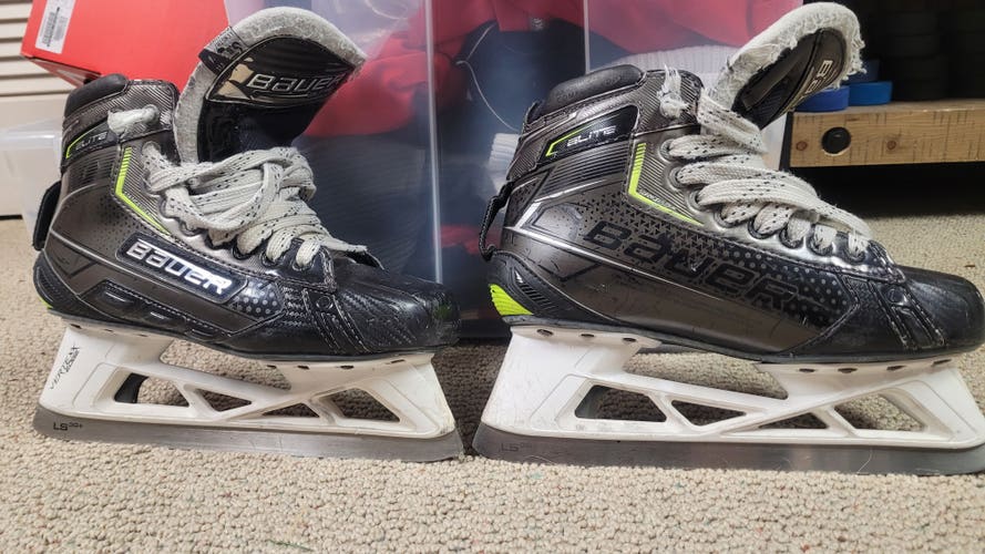 Bauer Elite Hockey Goalie Skates Regular Width Size 6.5 (Used)