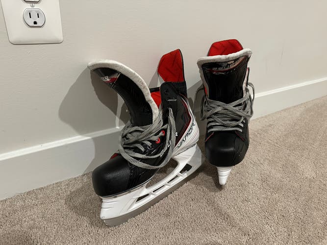 Elite Bauer Vapors (Fly30) – Now With Humanitarian Modifications