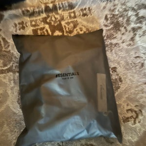 Essentials hoodie color heather grey (New)