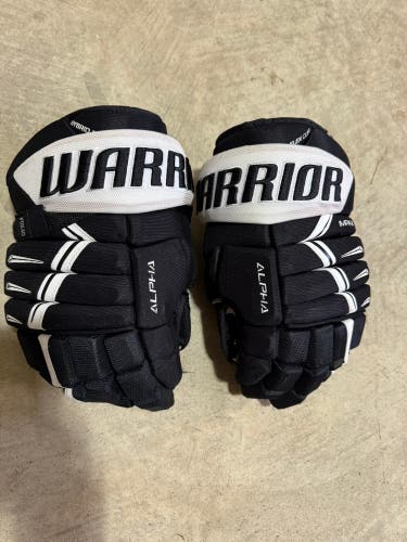Warrior Alpha DX Pro Gloves 14" Pro Stock (Used)
