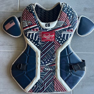 Rawlings “Pro Issued” 950X Velo Catcher's Set (Used)