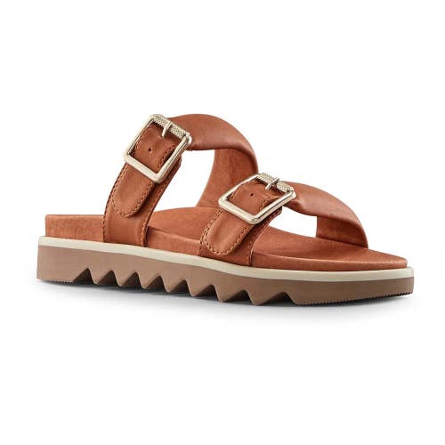 Cougar Nifty Women's Size US 6 Brown Leather Buckle Strap Sandals ZAP1002