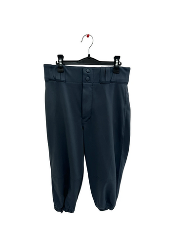 Used Champro CHAR KNICKERS BB/SB Pant Boys Charcoal LG 11692-S000145227