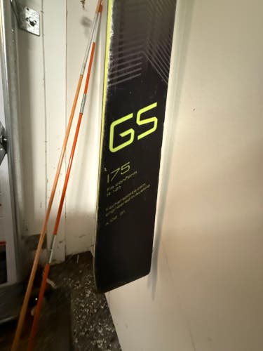 Unisex Racing 175 cm Fischer RC4 WC GS Skis With Bindings (Used)
