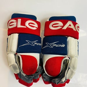 Eagle PPF Gloves 13" (Used)