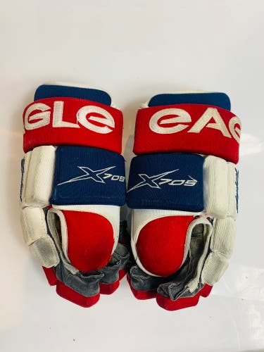 Eagle PPF Gloves 13" (Used)