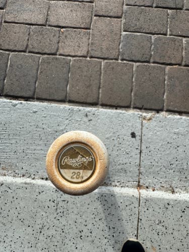 2025 Rawlings Icon Composite USSSA Certified Bat (-10) 19 oz 29" (Used)