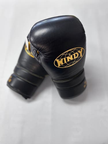 Windy 16oz BGE Elite Series lace up boxing gloves (Used)