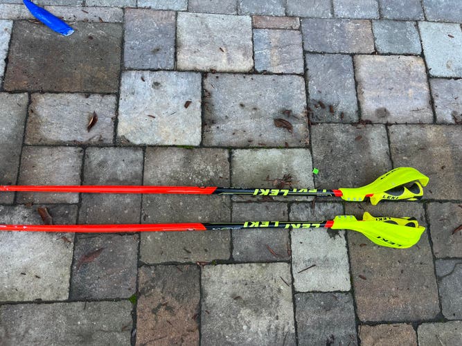 46in (115cm) Leki World Cup Lite SL Racing Ski Poles (Used)