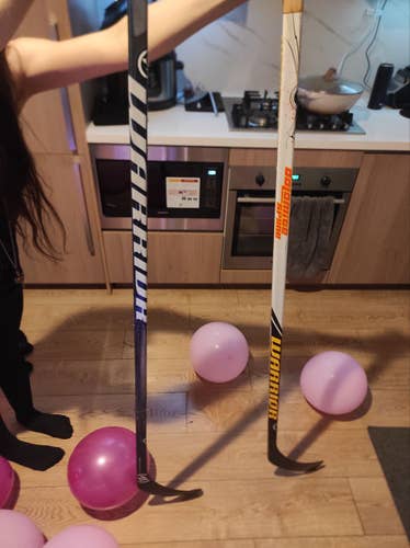 2x Warrior Dolomite Spine and Widow