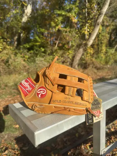 Rawlings Pro-1000H 12 Inch Horween Baseball Glove 1994 Made In USA NEW WITH TAGS
