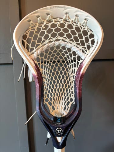 New Warrior Evo QX-O, Maroon/Navy Low-fade Dye
