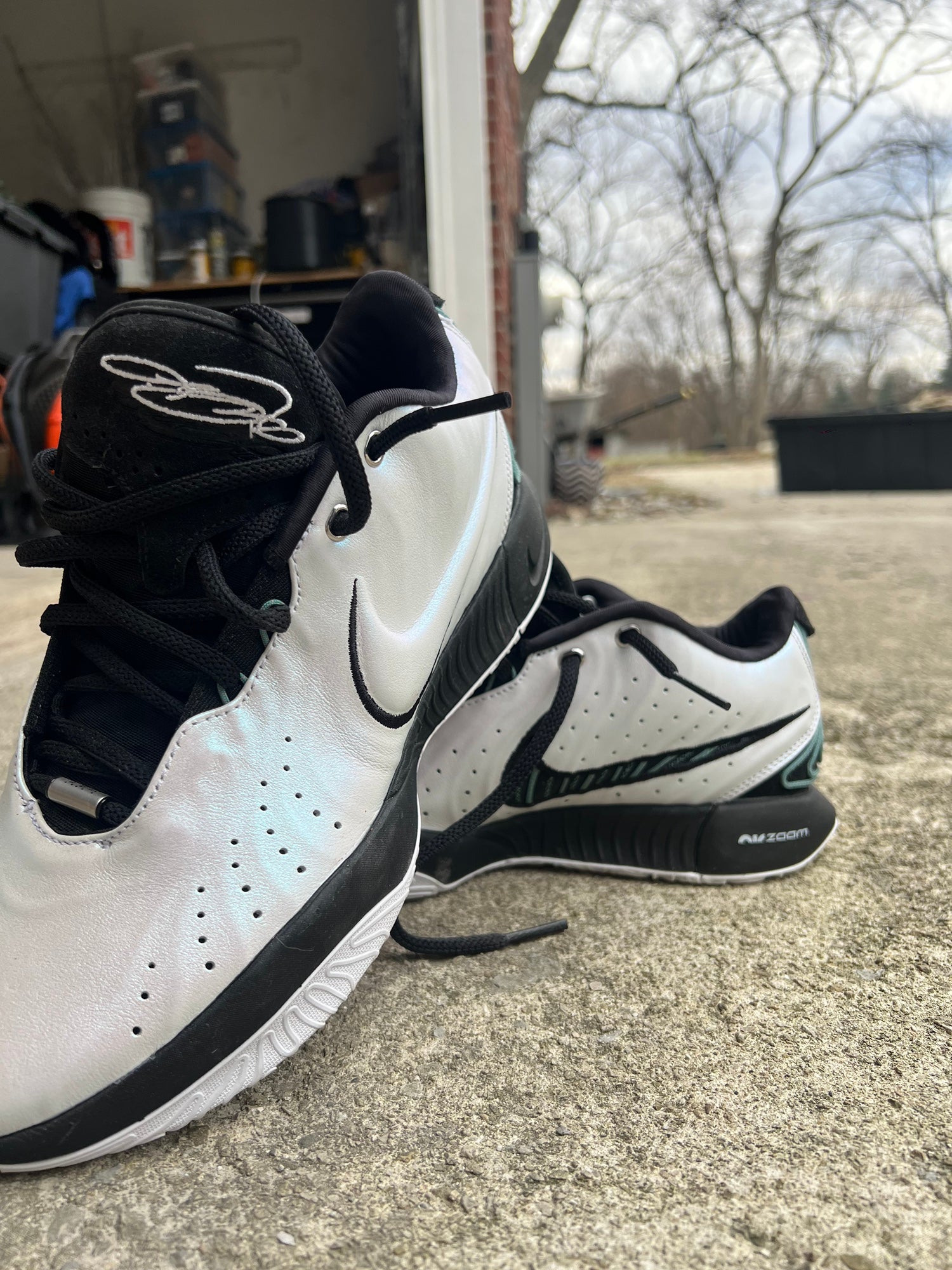 Size 10.5 - Nike LeBron 21 Algae FV2345-302 | SidelineSwap 