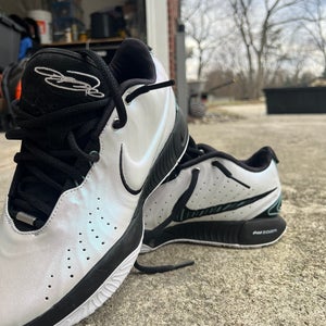 Nike (Exclusive) LeBron 21 “Conchiolin” - Florida A&M Football Gifted Shoe Size M 10 (W11)