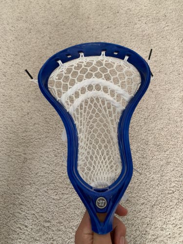 Warrior Evo QX-O Strung Head (Used)