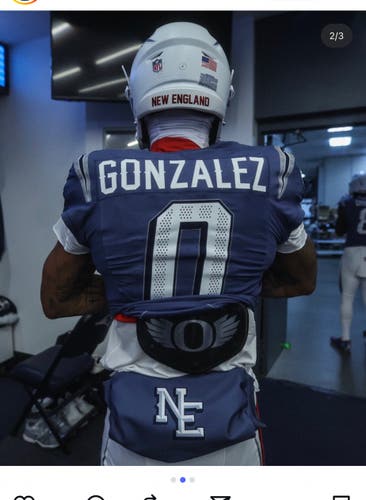 Oregon ducks backplate