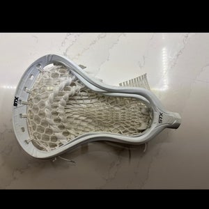 Adult STX Stallion 1K Stick (New)