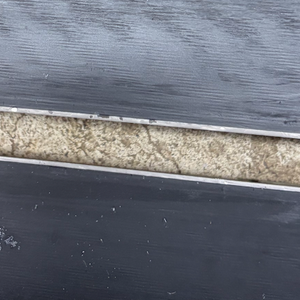 205 cm Blizzard  Firebird SG RD Skis Without Bindings (Used)