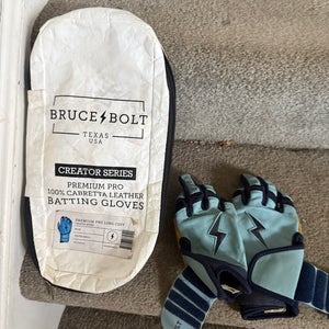 Batting Gloves (Used)