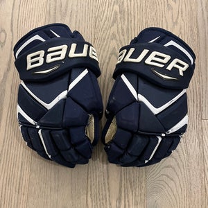 Bauer Vapor 1X Pro Gloves 14" -Navy