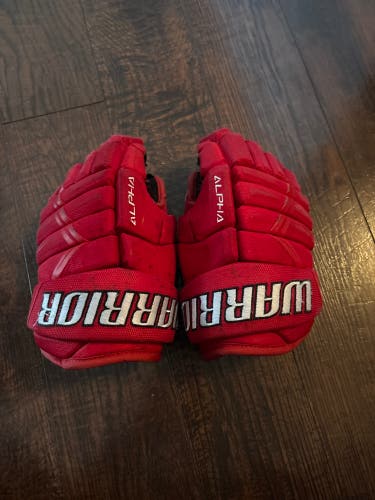 Warrior Alpha DX3 Gloves 10" (Used)