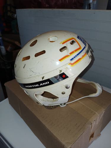 Large Helmet (Used)