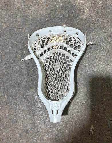 White Warrior Evo X Strung Head (Used)