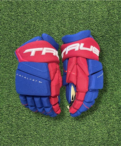 NEW TEAM USA TRUE CATALYST 9X GLOVES - 14”