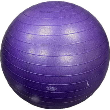 Used Exercise Ball Purple 11855-S000197762