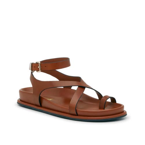 Steve Madden Zendra Sandals Womens 6 Cognac Leather Toe Loop Ankle Strap GAL1586