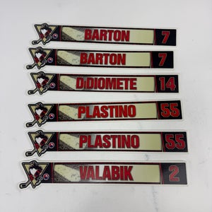 Wilkes-Barre Scranton Locker Room Nameplates (Group#13)