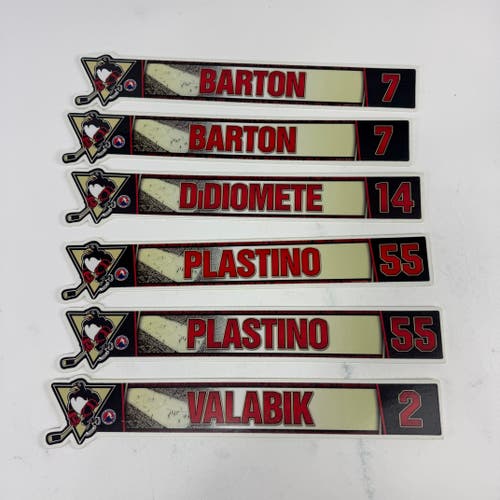 Wilkes-Barre Scranton Locker Room Nameplates (Group#13)