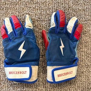 Batting Gloves (Used)