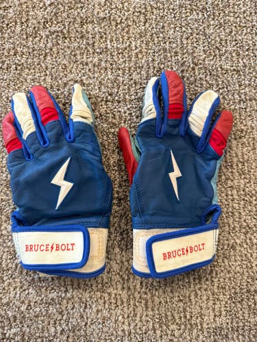 Batting Gloves (Used)