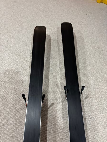 ヒグマ牙　D ZXI 8