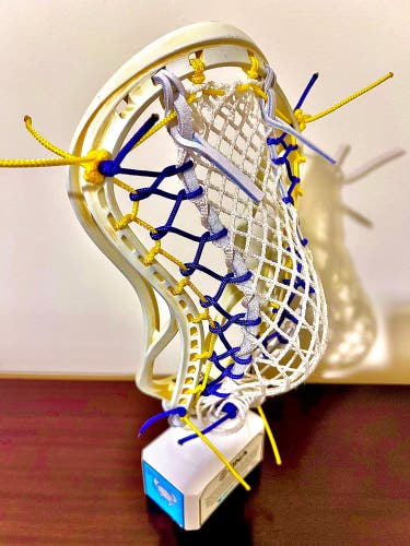 Custom Strung ECD DNA Head (Used)