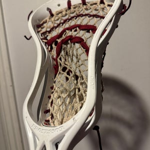 *rare* STX Professor Head