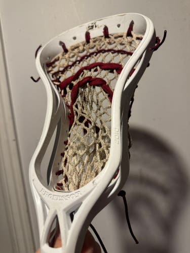 *rare* STX Professor Head