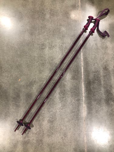 46in (115cm) Salomon Arctic Lady Ski Poles (Used)