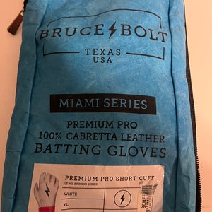 Batting Gloves (Used)