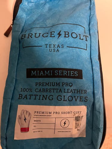 Batting Gloves (Used)