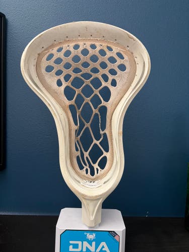 Warrior Warp Strung Head (Used)