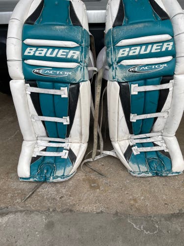 Nabokov Sharks pro returns Bauer