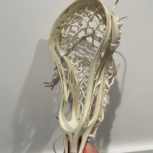 Warrior Evo Pro (Used)