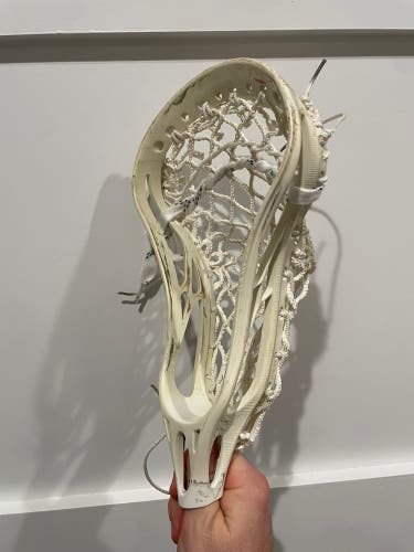 Warrior Evo ProUsed)