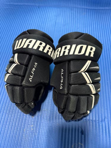 Warrior Alpha Gloves 8" (Used)